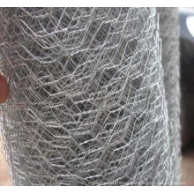 Electro Galvanized Hexagonal Wire Netting Manufacturer/Gabion Box